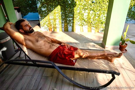 Dexterdexter kostenlose kunst fotos