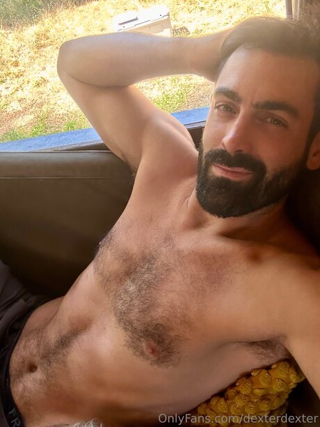 Dexterdexter kunst pornographische bild