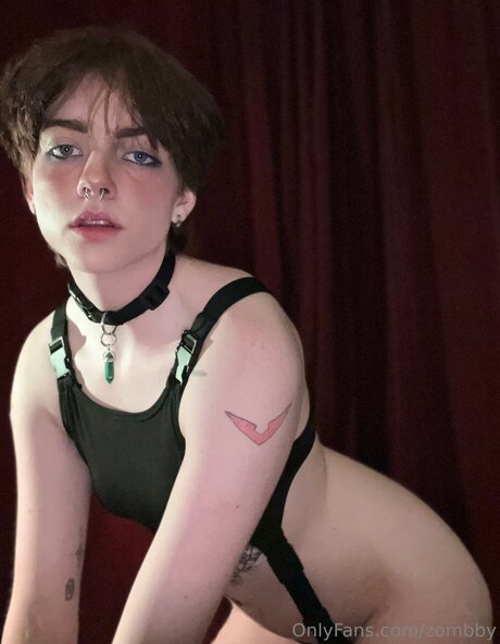 Zombby top perfekte bilder