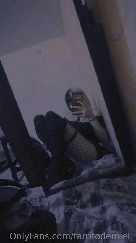 Tarritodemiel freie erwachsene bild