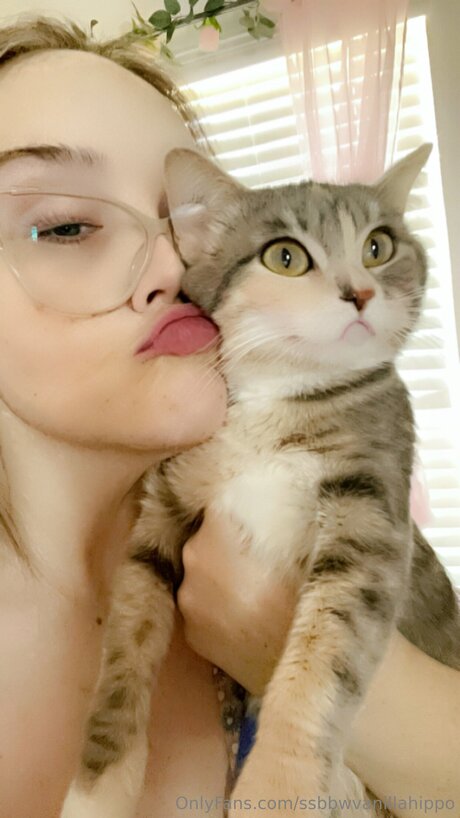 Ssbbwvanillahippo kostenlose beste bild