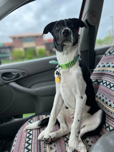 Sluttyshy porno exklusive foto