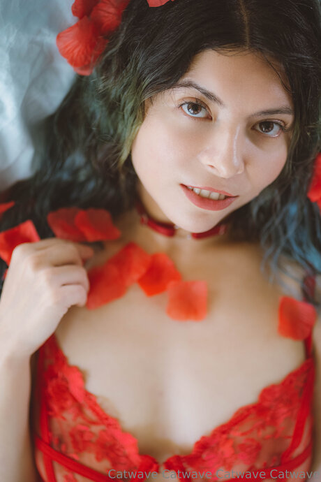 Catwave hd kostenlose fotos