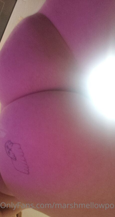 Marshmellowponi perfekte nackte bilder