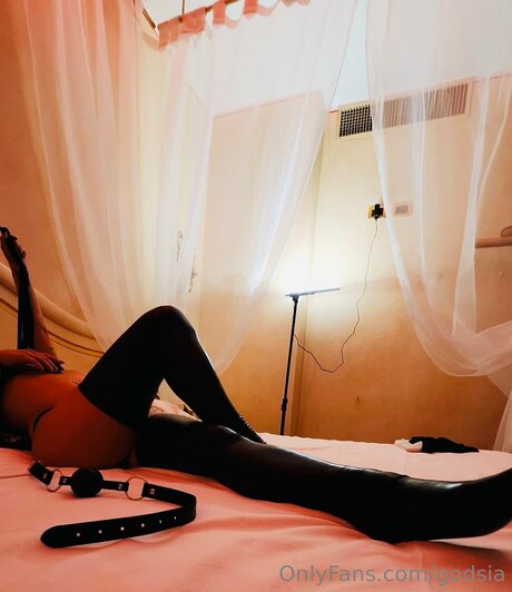 Godsia model freie archiv