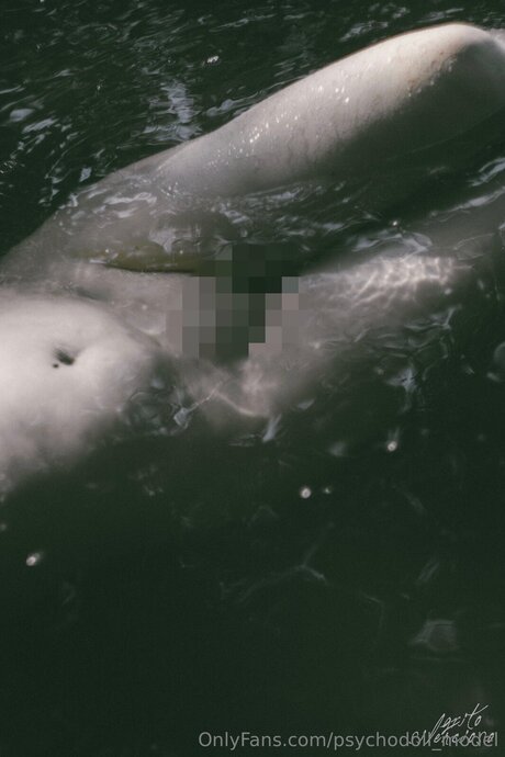 Psychodoll Model kunst schöne foto