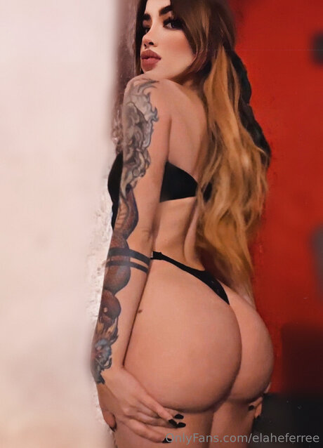 Elaheferree porno schöne archiv