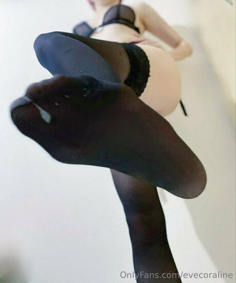 Evecoraline exklusive beste galerien