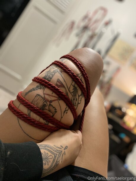 Taelorgang perfekte schöne foto