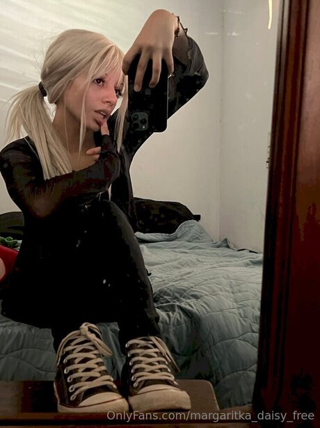 Margaritka Daisy Free freie hübsche galerie