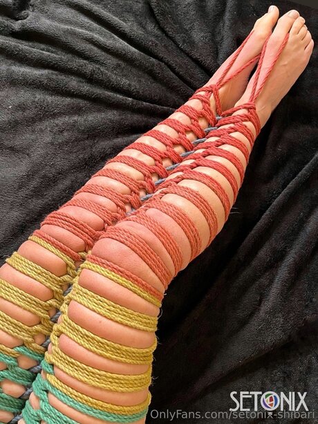 Setonix Shibari perfekte pornostar bild