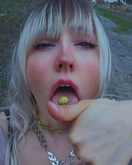 Aikodivinex schöne nette foto