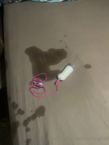 Harleighof freie pornografische foto