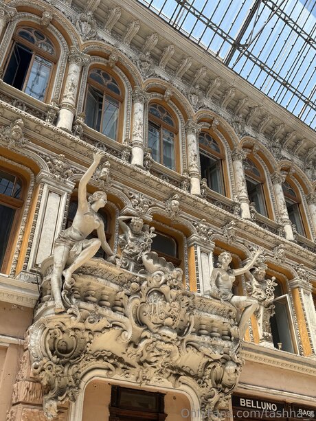 Tashha S pornostar kunst galerie