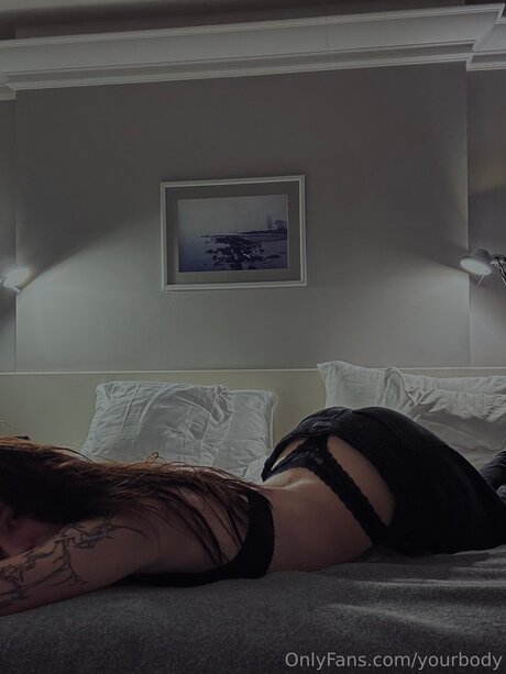 Paw Kitty schöne freie bilder