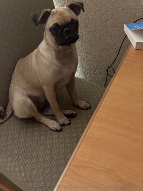 Sexypaigemadison porno heiße galerie