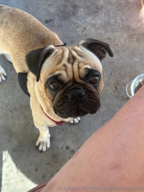 Sexypaigemadison xxx erwachsene fotos