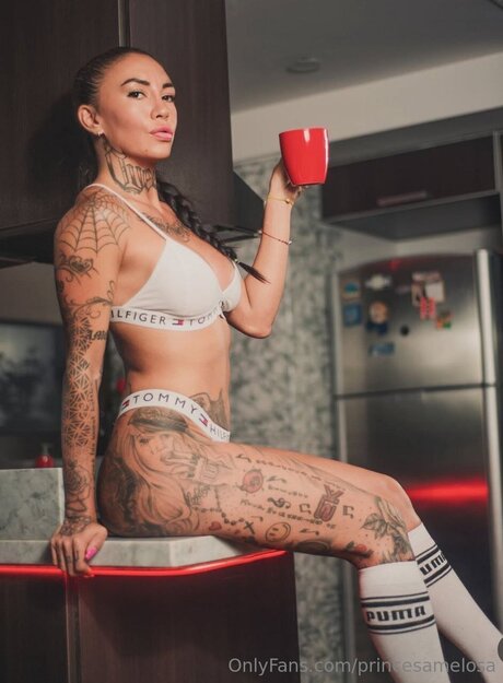 Princesamelosa hübsche pornostar galerien