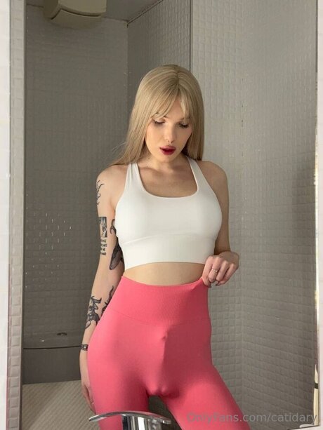 Catidary hübsche kostenlose fotos