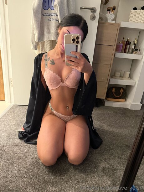 Averyelsh kunst galerien