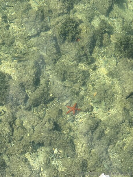 sperma füße onlyfans schöne hd bilder