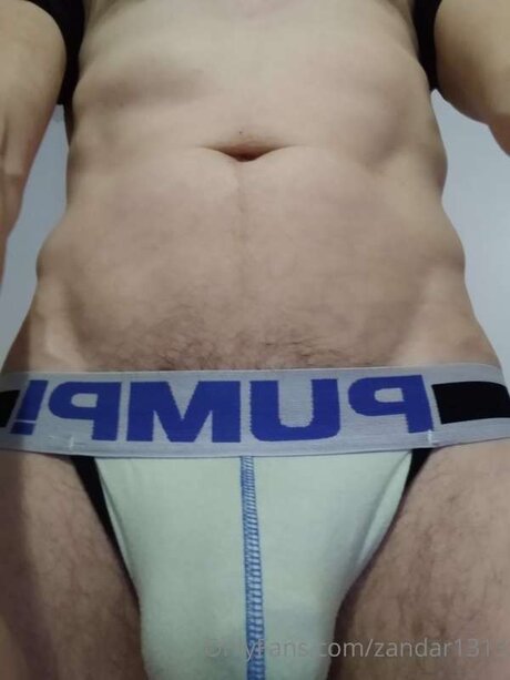 Zandar1313 hd archiv