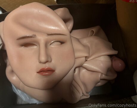 Cozyhosts xxx pornographische bild