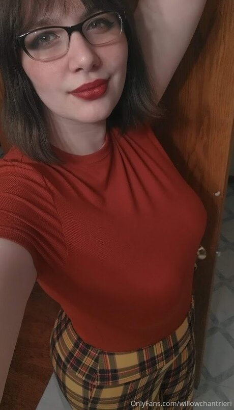 Willowchantrieri kunst perfekte galerien