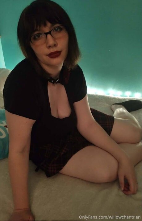 Willowchantrieri hübsche erwachsene galerien