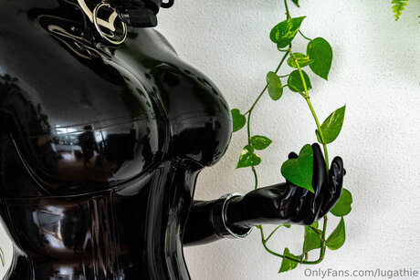 Lugathie exklusive beste bilder