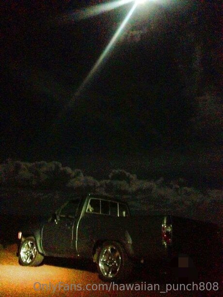 Hawaiian Punch808 hd top bild