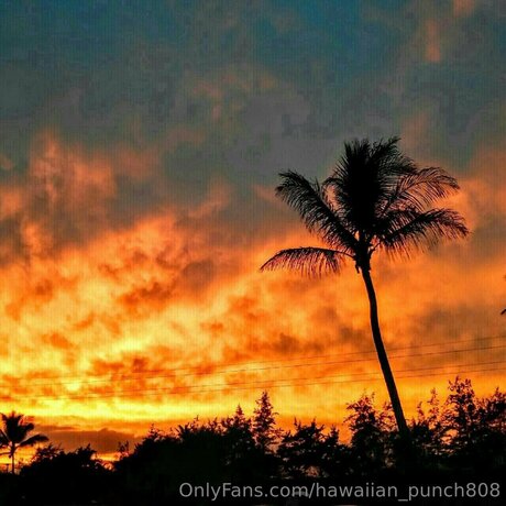 Hawaiian Punch808 schauspielerin pornografische fotos