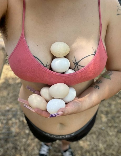 rollerdamefree hd beste galerie