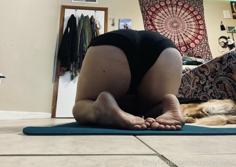 sexystella255 Profilbild