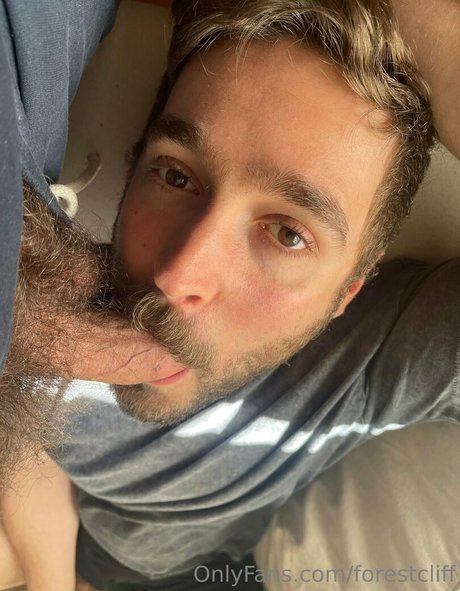 forestcliff kunst exklusive bilder