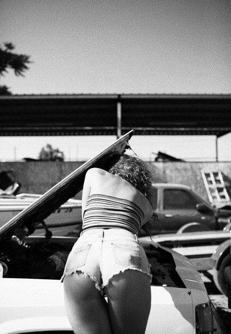 presssme hübsche perfekte galerien