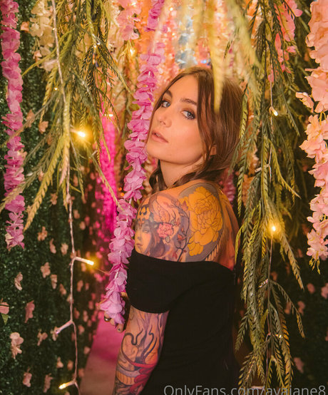 avajane8 erwachsene pornografische galerien