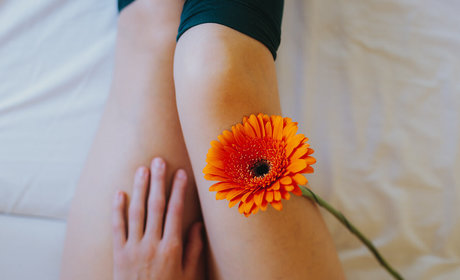 jinadaisy schöne perfekte galerie