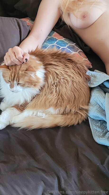 Sleepykitten Free model erotische archiv