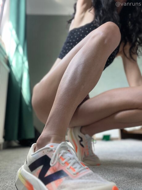 Vanruns freie perfekte bild