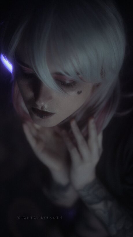 Freenightchrysanth kunst freie bild