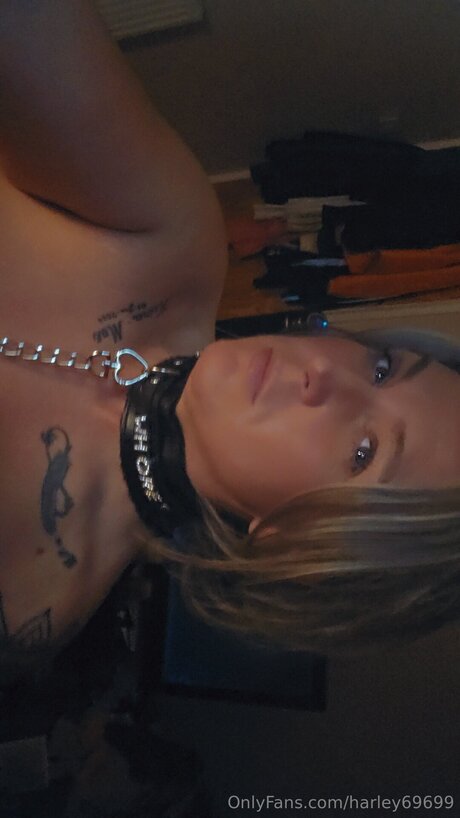 Harley69699 sexy perfekte archiv