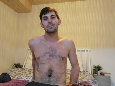 Taylorpeaks perfekte schöne archiv