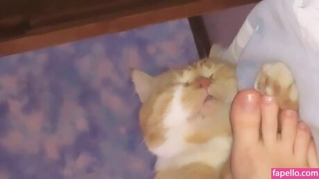 Xenaex model hübsche bilder