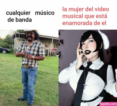 Bolicatsita perfekte kunst fotos