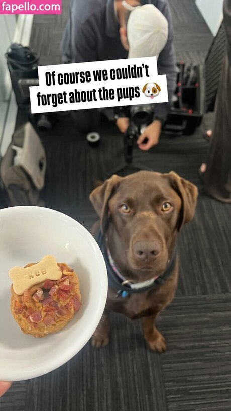 discord trans onlyfans top akt galerien