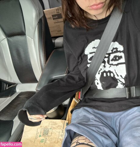 pvnks beste freie bilder