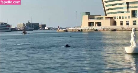 gioscotti beste freie foto