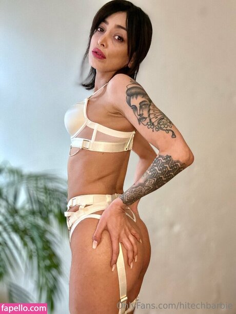 hitechbarbie hübsche akt bild