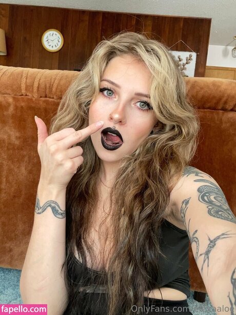 Mushbugs hübsche hd fotos